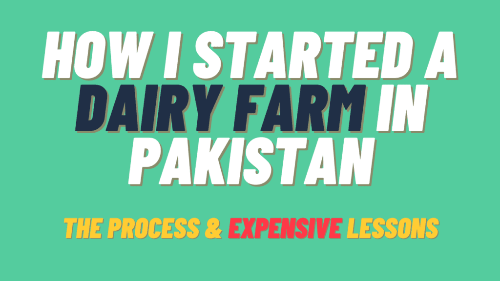 dairy farming pakistan