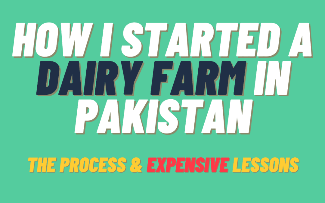 Dairy Farming in Pakistan
