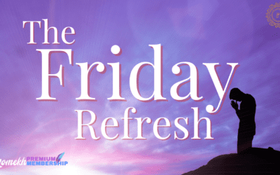 The Friday Refresh