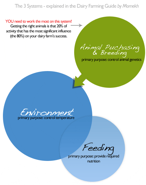 the 3 systems of dairy farming for entrepreneurs 