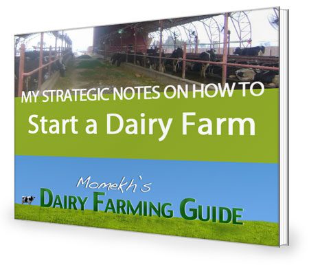 Dairy Farming Guide by Momekh eBook cover