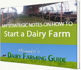 Dairy Farming Guide by Momekh eBook cover