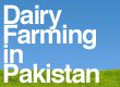 dairy farming in pakistan 