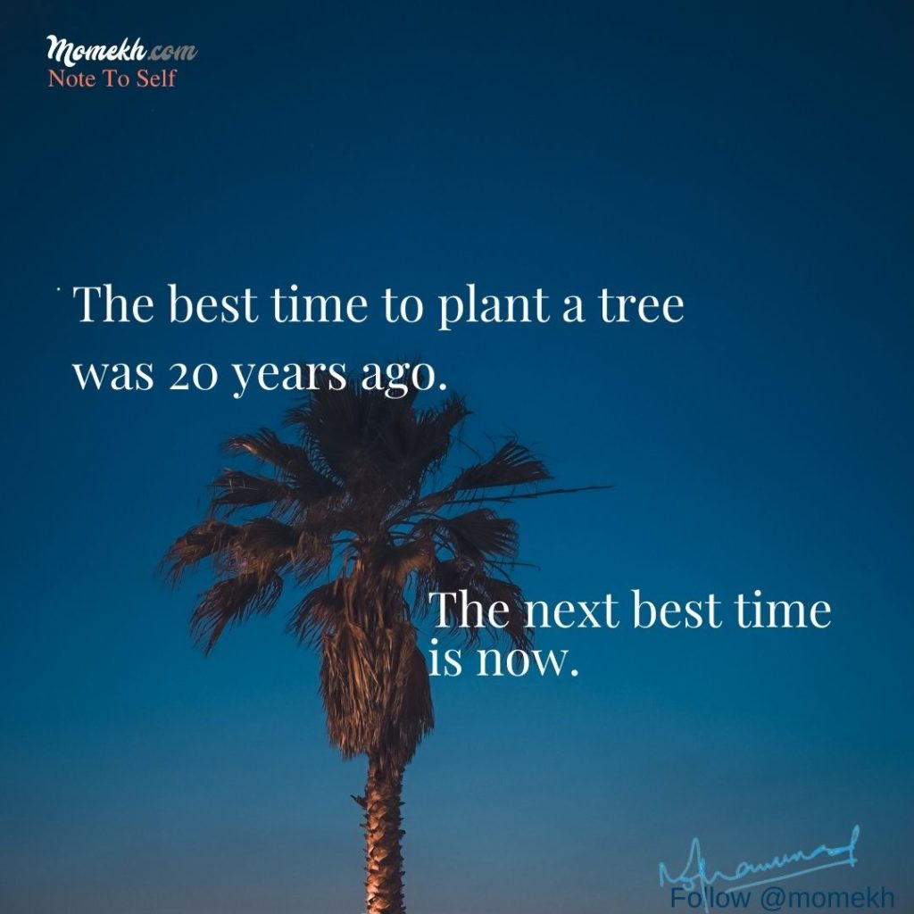 The best time to plant a tree was 20 years ago. The next best time is now.